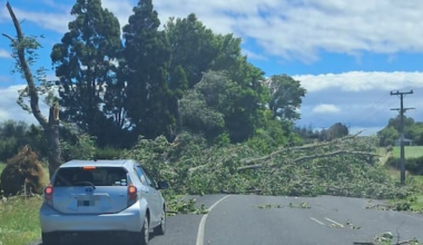Power cuts, trees down as heavy rain, gales batter upper North
