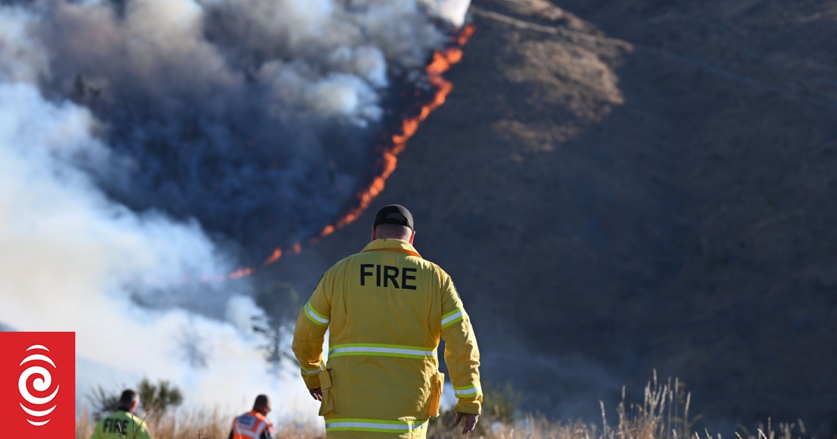 A history of New Zealand's wildfires - and what's to come