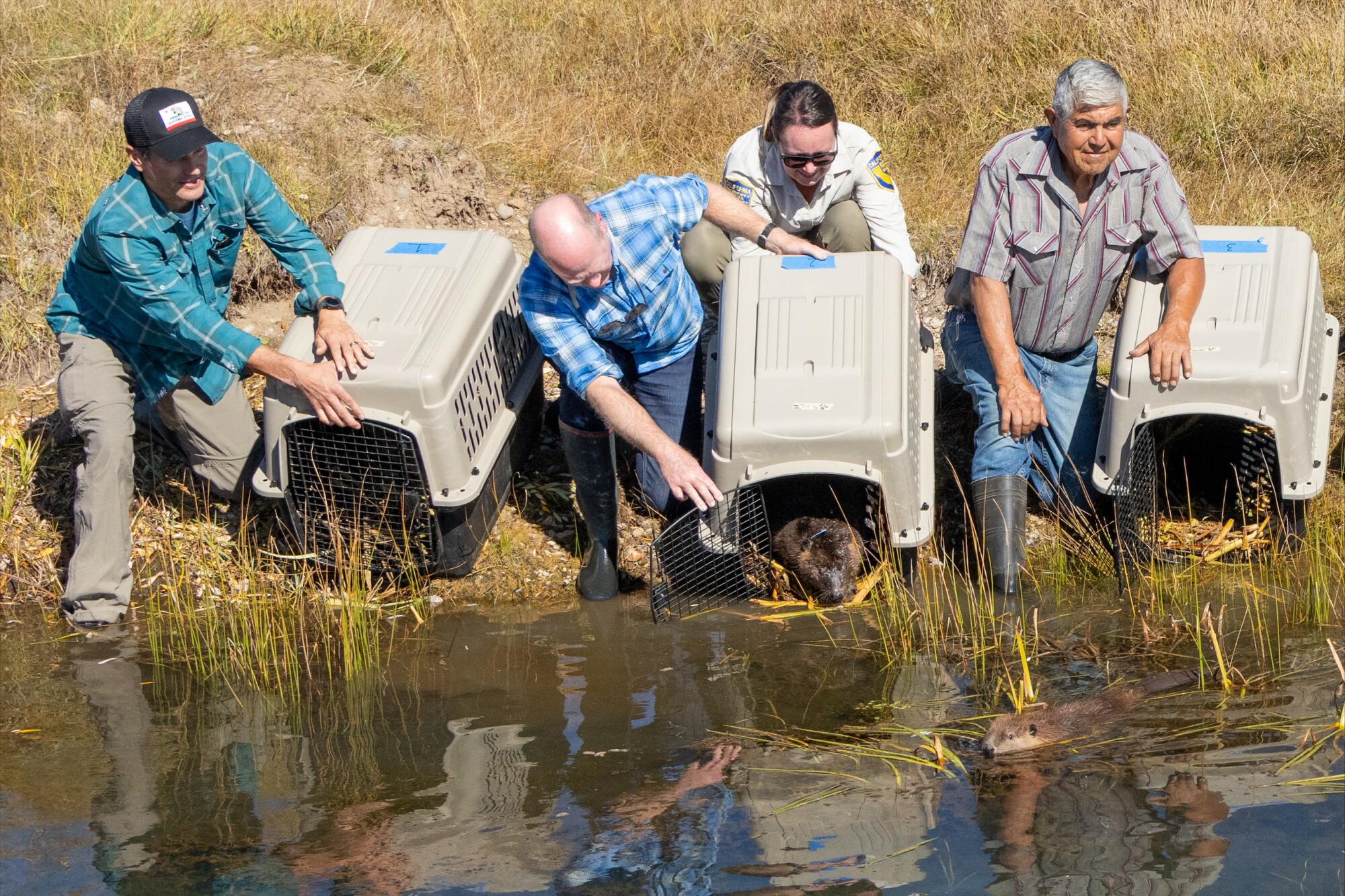 Several people hold large animal carriers tilted toward a waterway. An animal can be seen in one.  