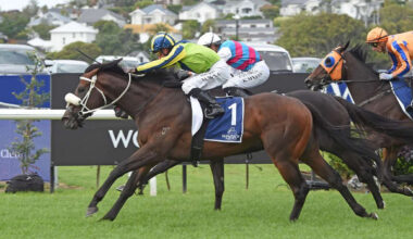 I Am Invincible stallion Tardelli will run in the G1 Telegraph - Race Images