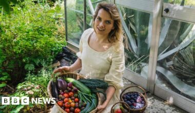 It is stressful being an influencer, says Somerset gardener