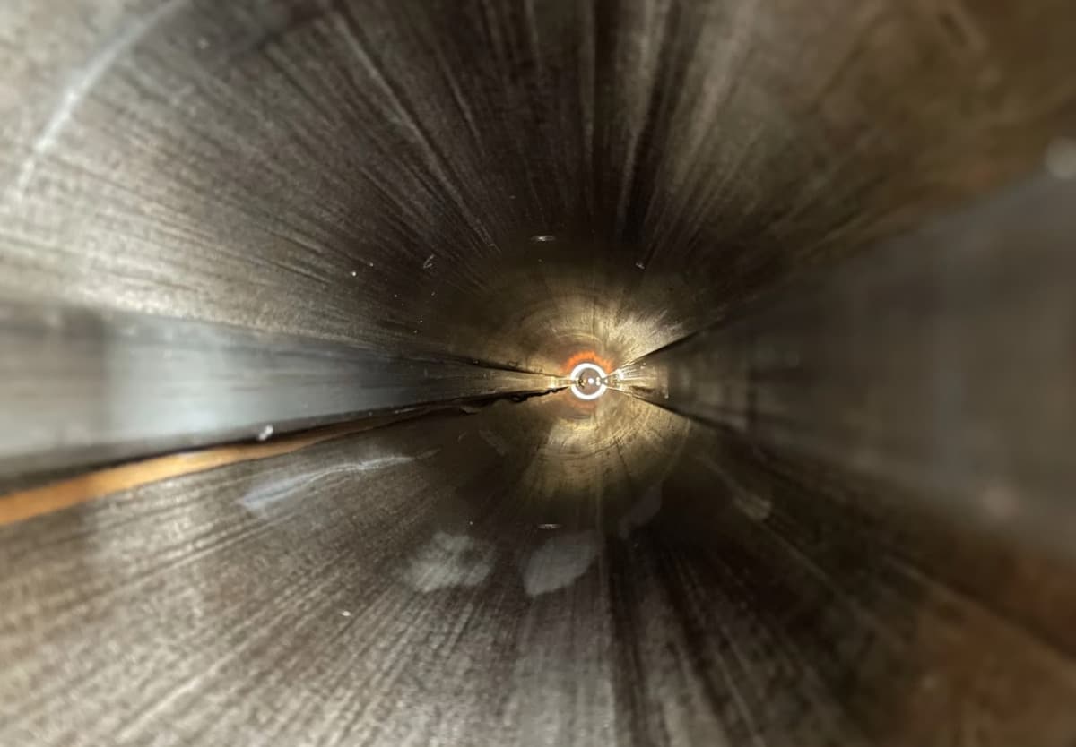 2-cannon