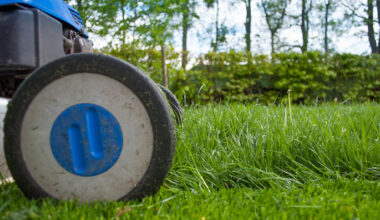 SunLive - WBOP Council lifts berm mowing after complaints