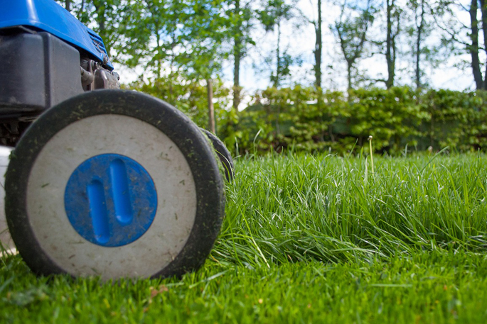 SunLive - WBOP Council lifts berm mowing after complaints