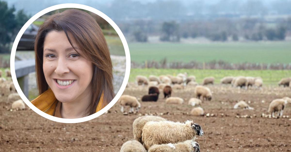 Barrow MP defends inheritance tax reforms as Budget backs farmers