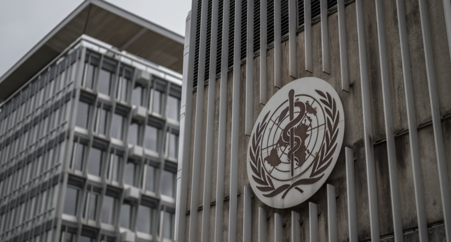 WHO urges vigilance on global situation of MER