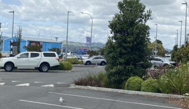 SunLive - Bystanders praised after alleged rock incident