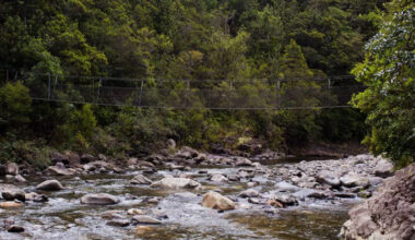 SunLive - Human heat circle saves lost Coromandel tramper