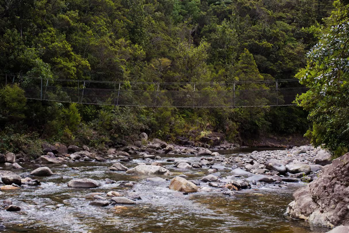 SunLive - Human heat circle saves lost Coromandel tramper