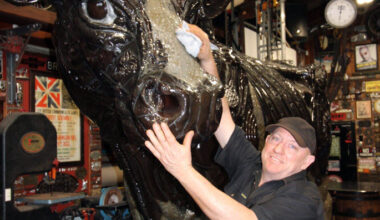 SunLive - Te Aroha sculptor’s latest giant metal cow