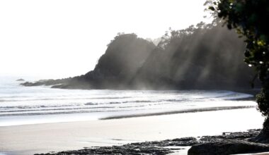 Dog missing after yacht capsizes in Northland