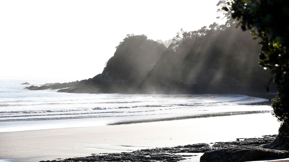 Dog missing after yacht capsizes in Northland