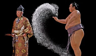 best of 2025 in pictures (with help of drones)