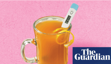 Is it a good idea to have a hot toddy when you’re sick? | Well actually
