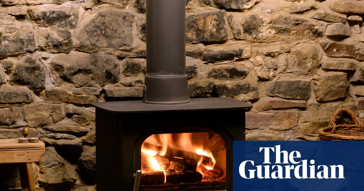 Wood-burning stoves to face partial ban in Labour’s updated environment plan | Environment