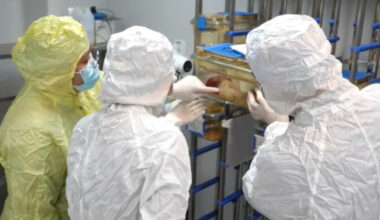 Space-traveling mouse births pups after returning to Earth: report