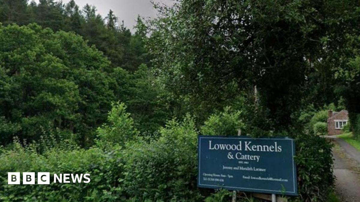 A narrow path surrounded by trees and grassland leads towards the kennels. There is a blue sign on the left side of the path, reading Lowood Kennels & Cattery and a building just visible at the end of the drive. To the left of the picture is dense woodland.