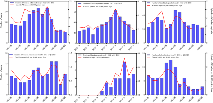 Analysis of Candida auris resistance and associated risk factors in hospitalized patients at a tertiary care hospital in China