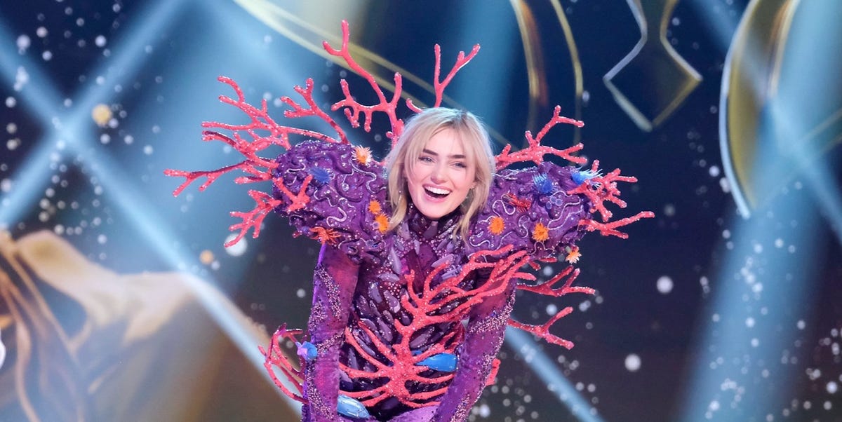 Every Celebrity Reveal on ‘The Masked Singer’