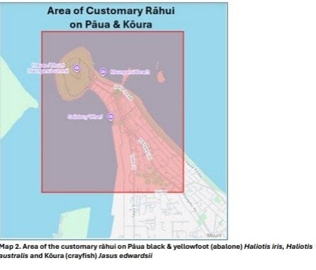 The customary rāhui area on pāua and kōura. Graphic / Tauranga Moana Iwi Customary Fisheries Trust