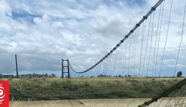 Historic Ōpiki Bridge cable falls into Manawatū River again