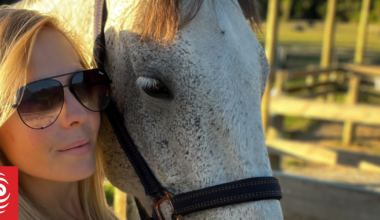 'Literally the worst nightmare': Hundreds hunt for beloved runaway horse