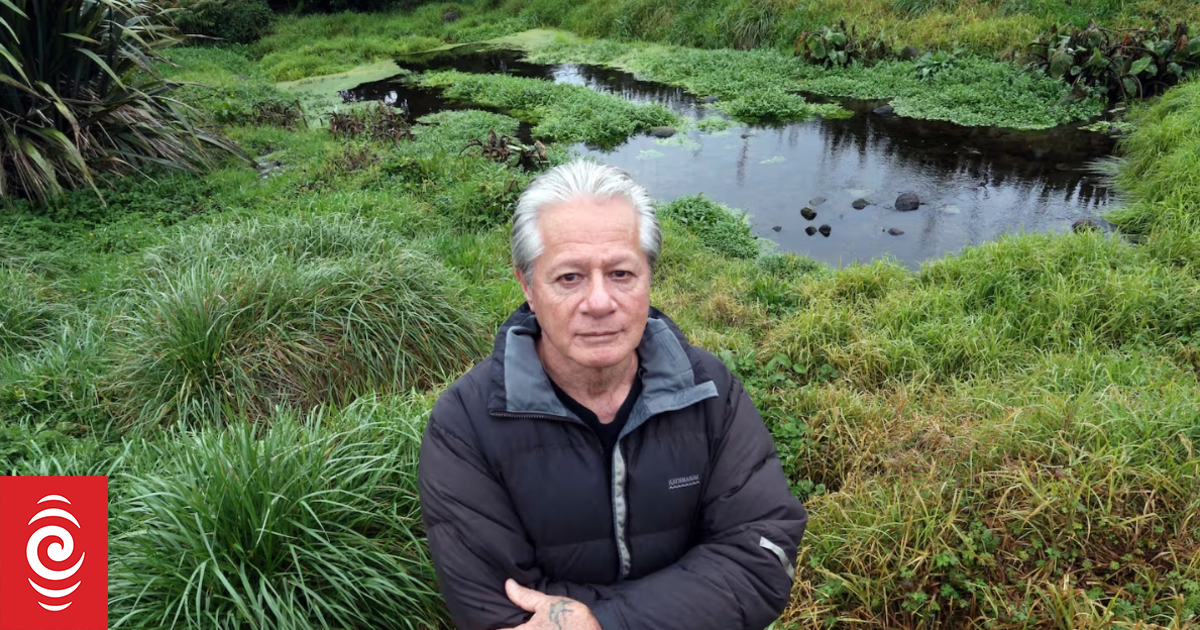 Court of Appeal: Māori Land Court cannot rule on Porotī Springs water