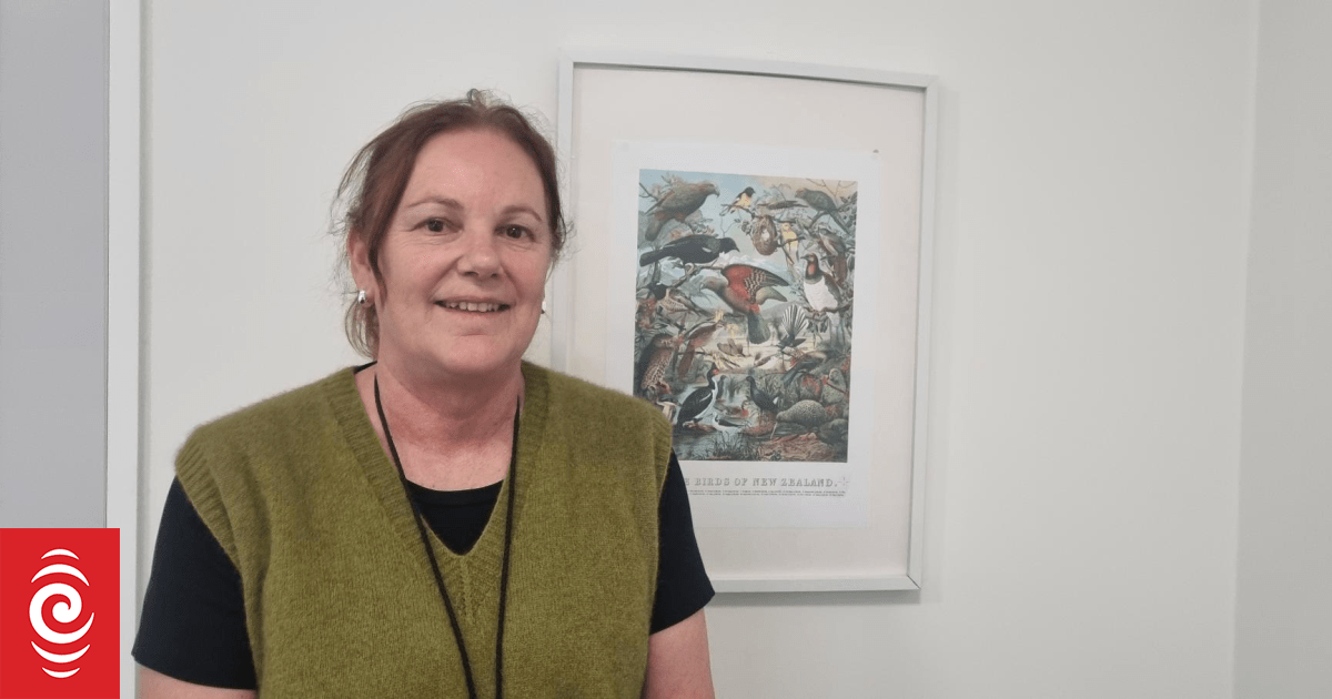 Housing First Ōtautahi launches rapid response to homelessness, finding an increase in elderly with no home