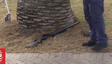 How Bondi shooters gained access to now-banned guns