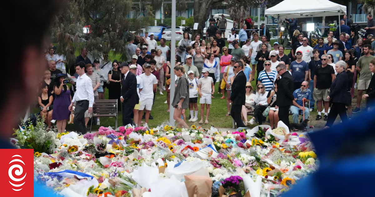 Australia to introduce law to crack down on hate speech after Bondi Beach shooting