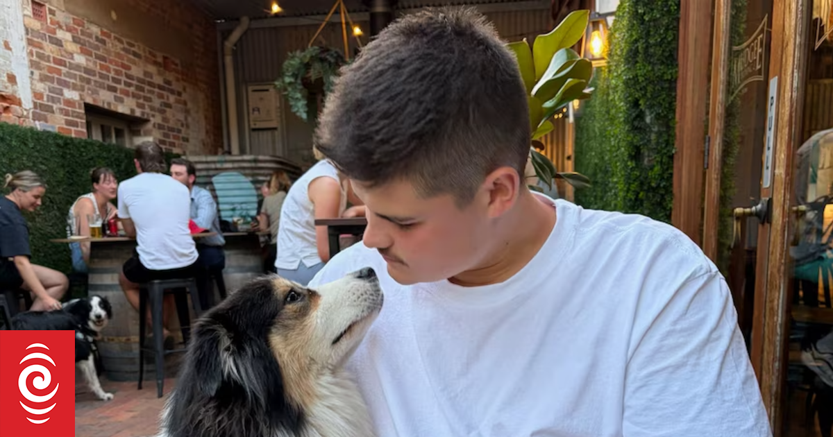 NSW police officer Jack Hibbert released from hospital after being shot in Bondi terror attack