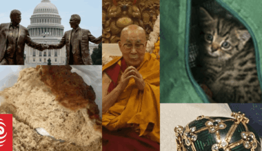 The oddest news RNZ covered in 2025