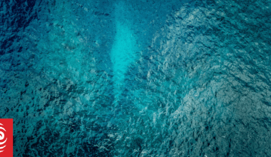 Calls for the UK's role to be considered in the sinking of Manawanui