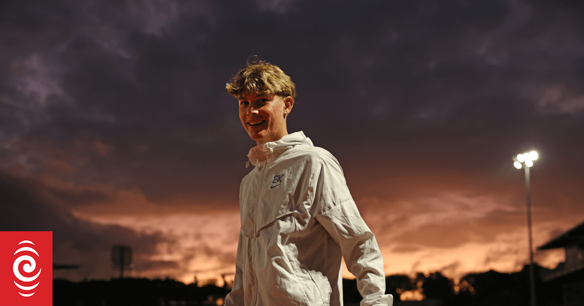 Shoes, rhinos and Jaffas: Trade Me's top viewed auctions of 2025 revealed