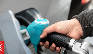 Gull, NPD merger should bring fuel prices down - AA