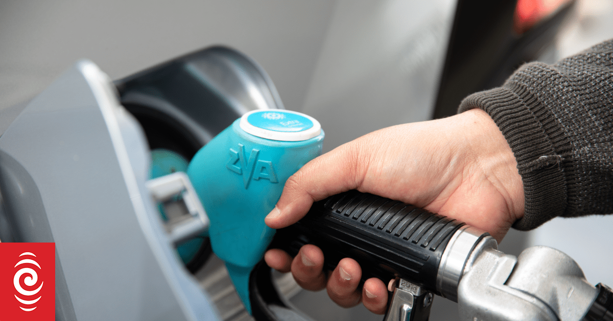 Gull, NPD merger should bring fuel prices down - AA