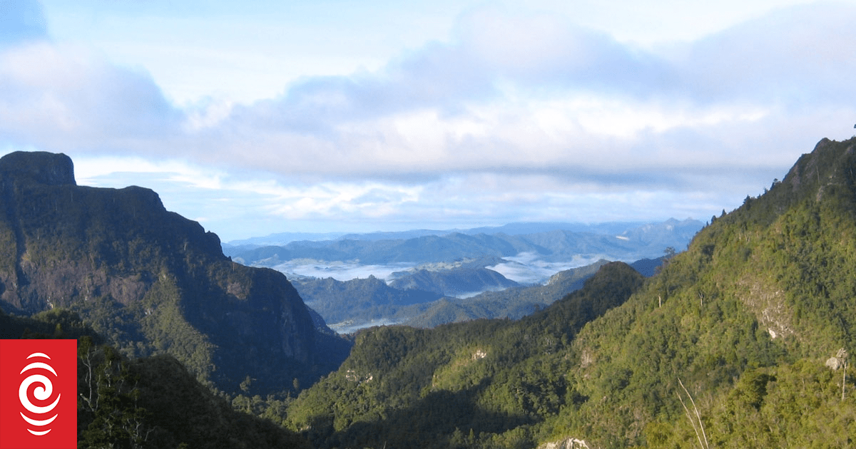 'Close call': Elderly man saved after collapsing, getting lost during hike in Coromandel