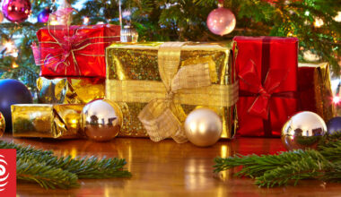 'It was only 20 minutes outside their house' - Christmas presents stolen from car