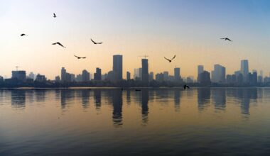 India says its economy has overtaken Japan, eyes Germany