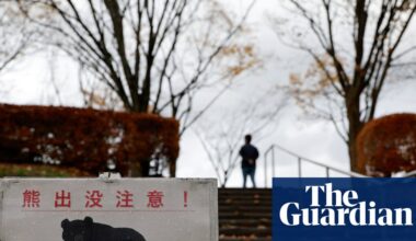 Japanese town reeling from year of record bear encounters | Japan