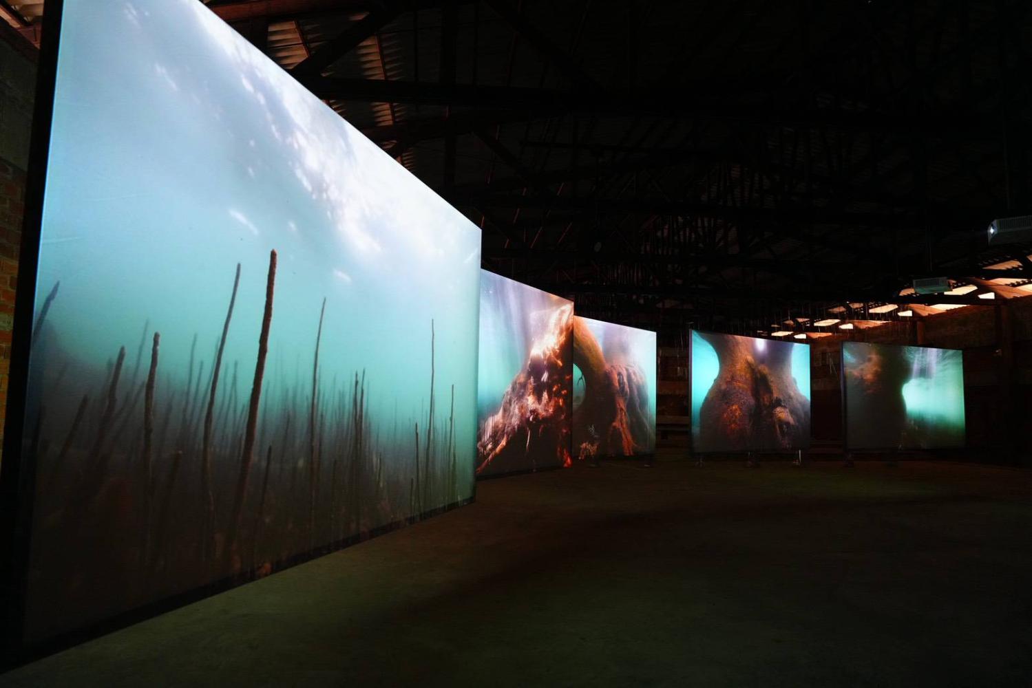 Thailand Biennale Phuket 2025. photo courtesy of Office of Contemporary Art and Culture