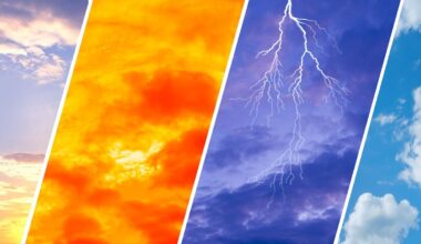 Why weather apps give different forecasts – and which ones to trust in NZ