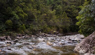 Family’s human heat circle saves life of lost tramper Kauaeranga Valley, Coromandel