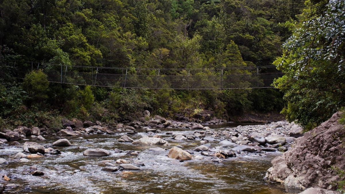 Family’s human heat circle saves life of lost tramper Kauaeranga Valley, Coromandel