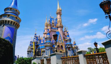 Disney World stunt worker hit by runaway boulder saving crowd in viral video