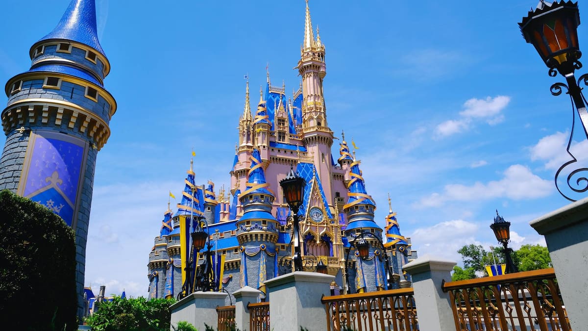 Disney World stunt worker hit by runaway boulder saving crowd in viral video