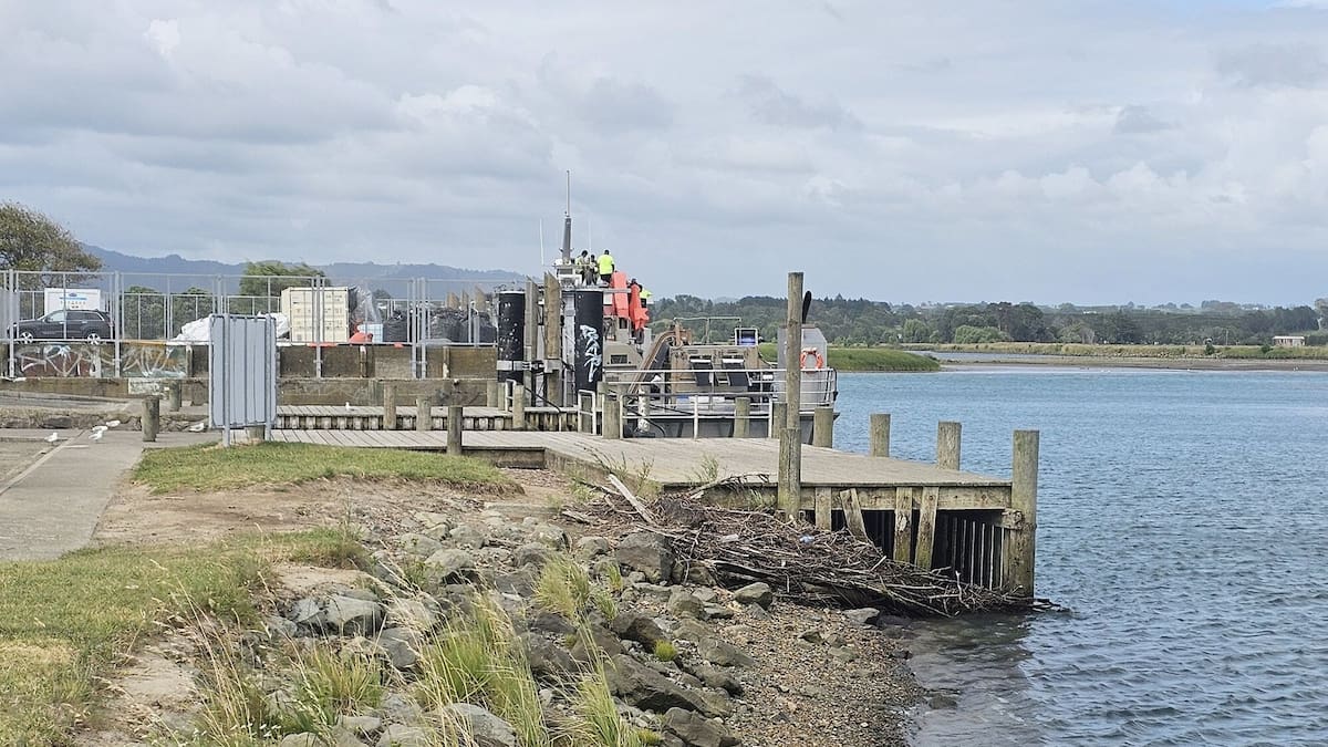 Ōpōtiki wharf jetty plan scaled back as council declines more funding