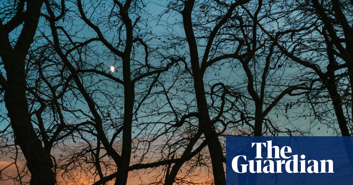 ‘There is a crack in everything’: capturing the dark of winter – in pictures | Photography