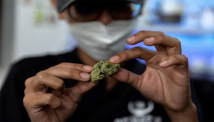 Cannabinoid Hyperemesis Syndrome (CHS) is an increasingly common medical disorder seen among people who use cannabis heavily over long periods of time. — Reuters