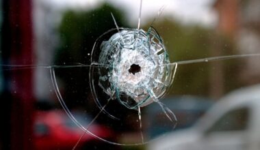 Nelson mechanic Marie Hearn pleads guilty to shooting colleague’s cars